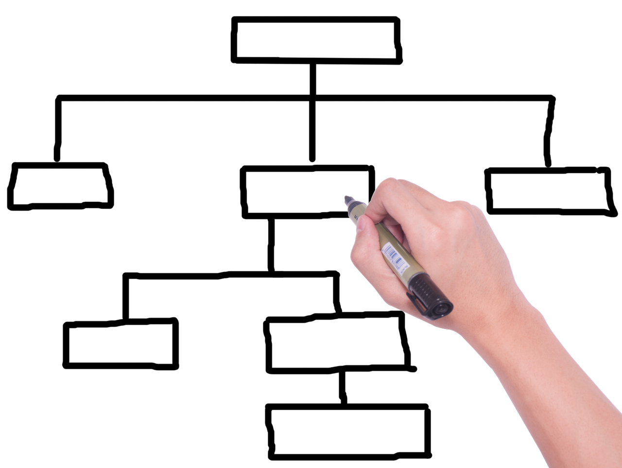 태아보험비교사이트