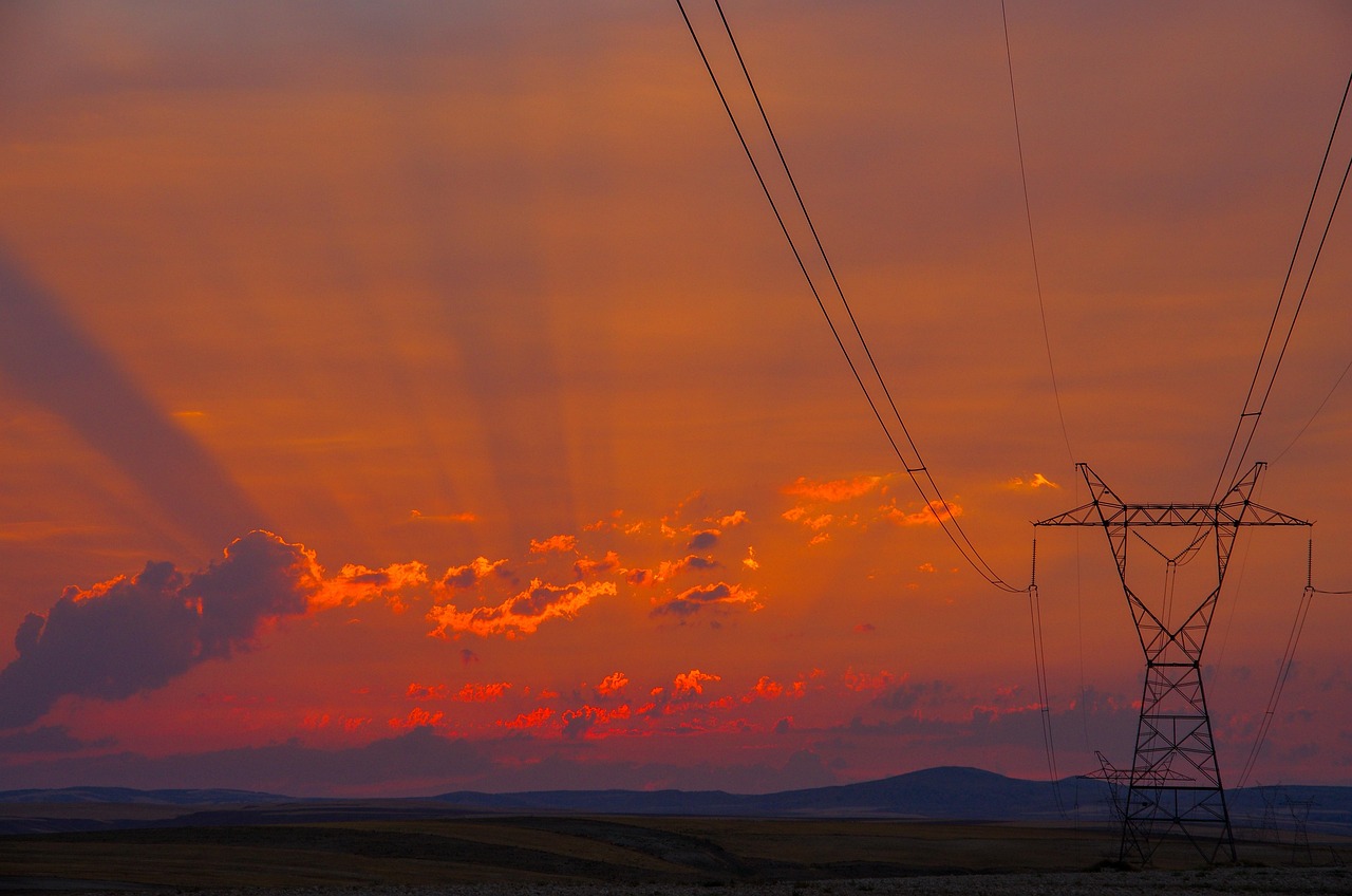 태아 보험다이렉트 direct-hiportal보험