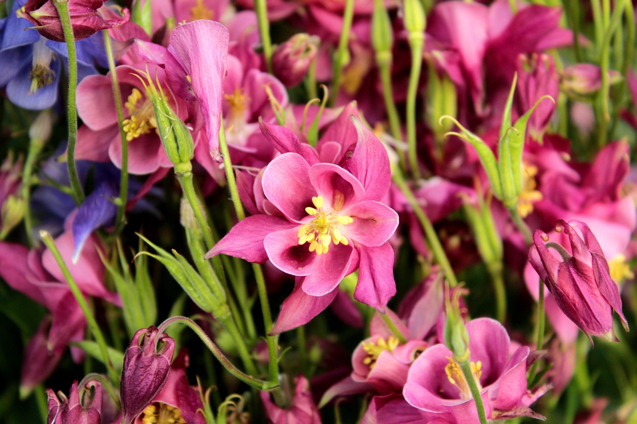 태아보험 수족구 수두