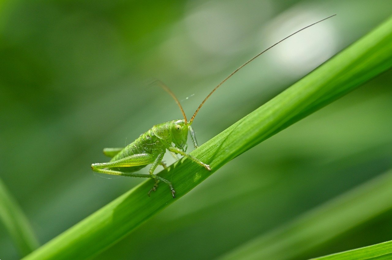 삼성생명 퇴직연금 해지