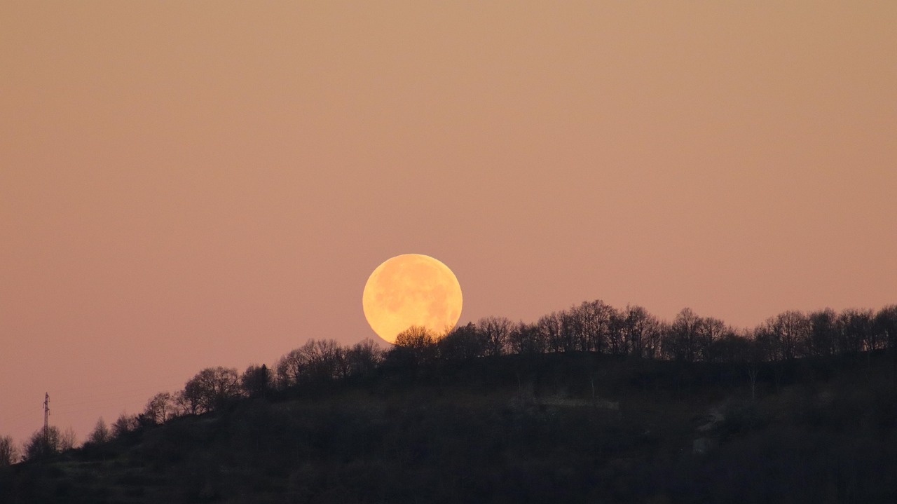 편의점 알바 4대보험 기준