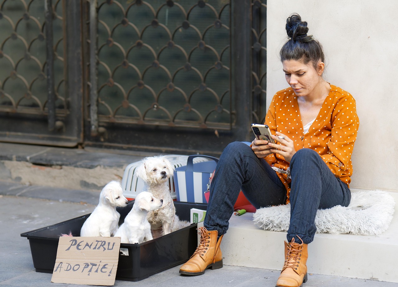 kb손해보험 채용 합격