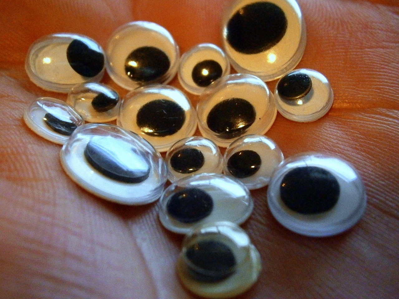 서울보증보험 배당금 지급