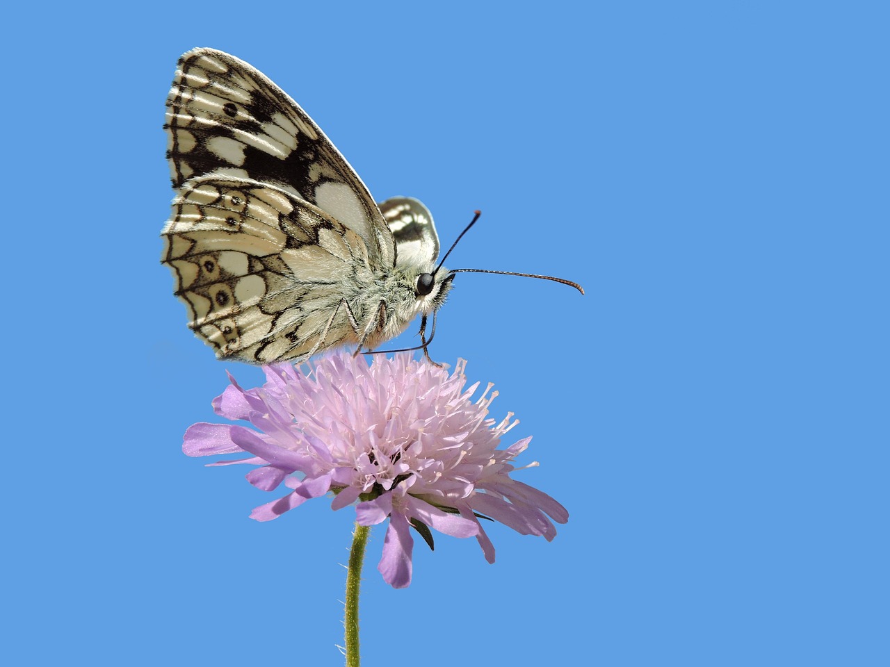 건강장기요양보험납부확인서